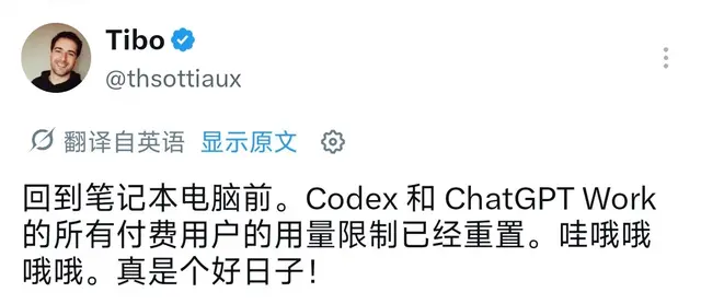 Codex Reset Sparks Attention